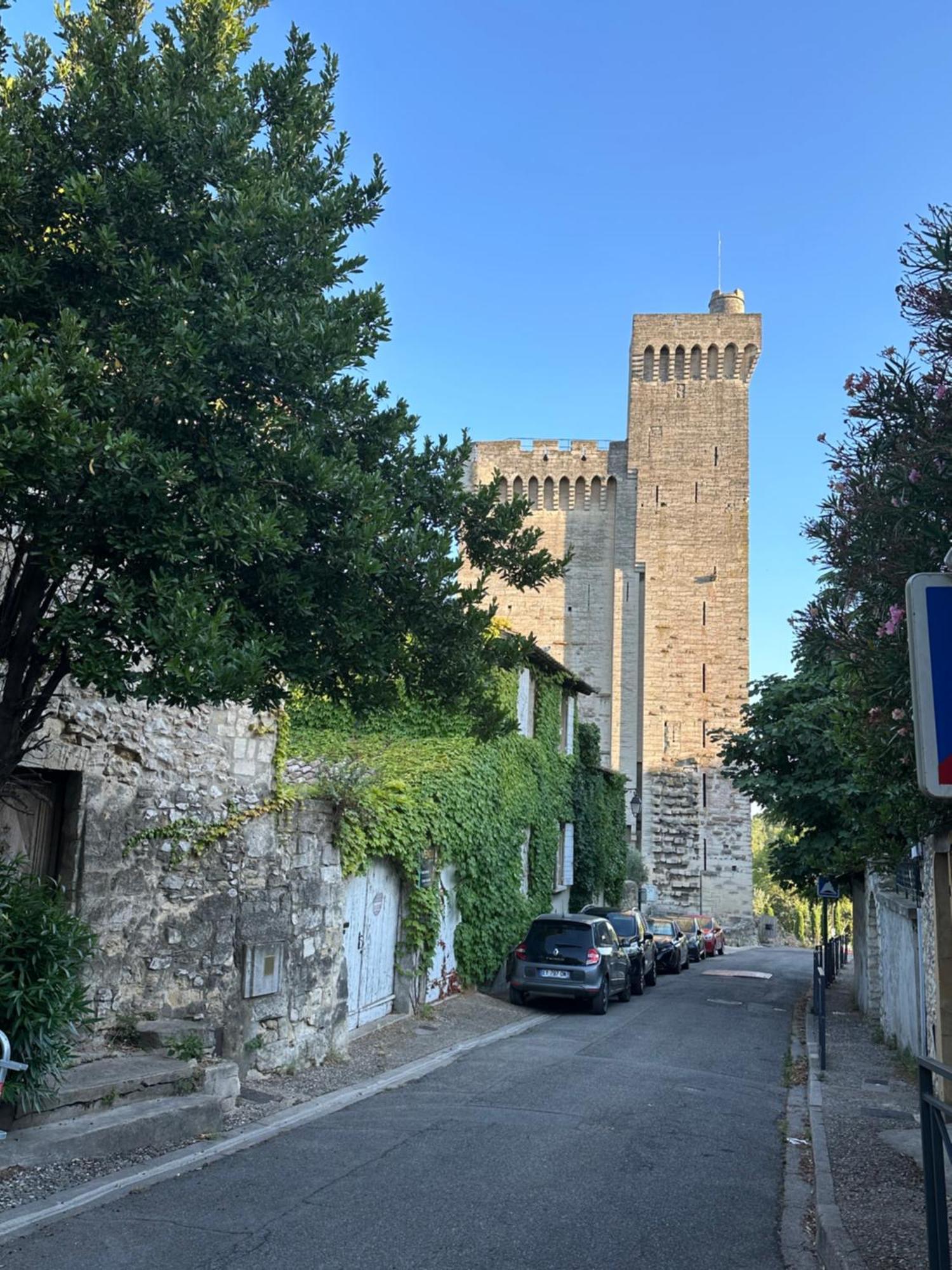 Charmante Petite Maison Avec Vue Panoramique, En Centre Historique, Proche D'Avignon, Ancienne, Renovee, Climatisee, Terrasse, Parking Public Gratuit Villeneuve-lès-Avignon Buitenkant foto