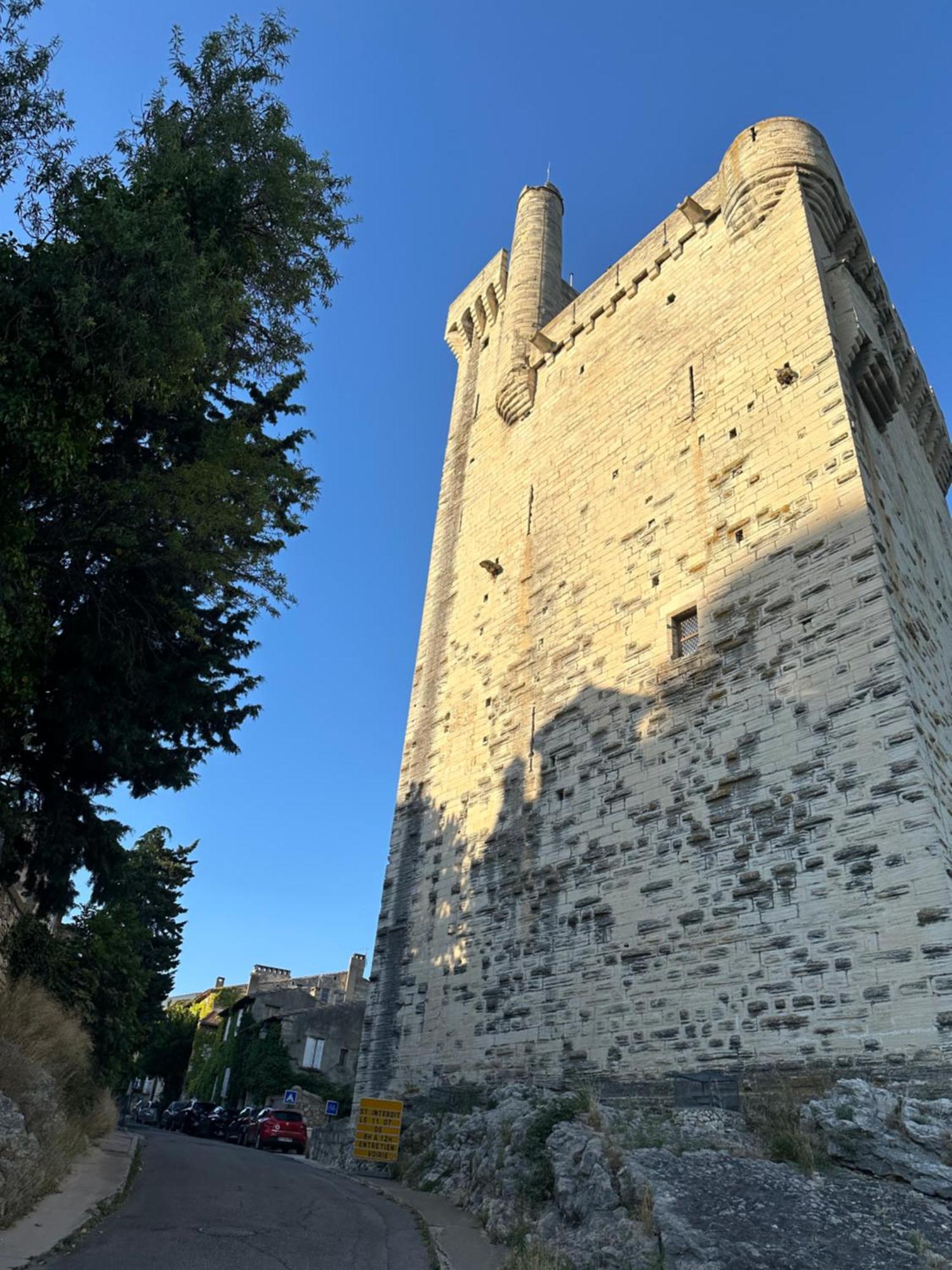 Charmante Petite Maison Avec Vue Panoramique, En Centre Historique, Proche D'Avignon, Ancienne, Renovee, Climatisee, Terrasse, Parking Public Gratuit Villeneuve-lès-Avignon Buitenkant foto